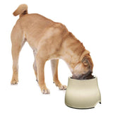 Dogit 2 in 1 Elevated Dog Feeding Bowl Large White - Amazing Amazon
