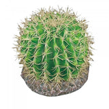Eco Tech Pineapple Cactus Ornament 20cm - Amazing Amazon