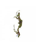 Eco Tech Twisted Vine Moss Ball 43cm - Amazing Amazon