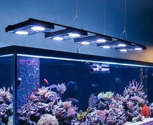 ecotech-marine-radion-xr30w-g4