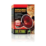 Exo Terra 100 Watt Infrared Heat Lamp - Amazing Amazon