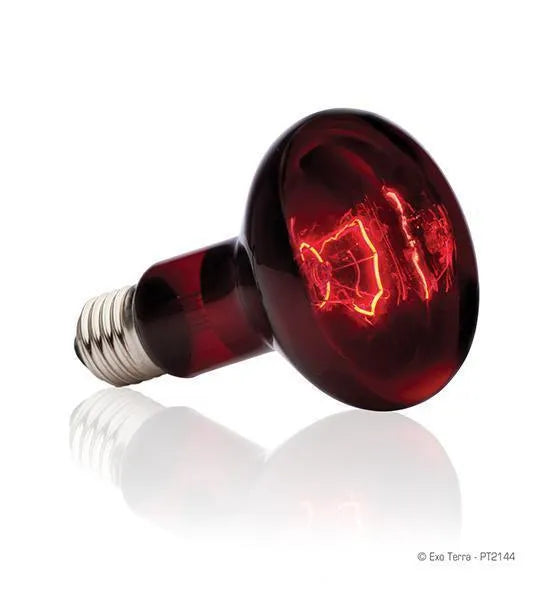 Infrared led shop heat lamp