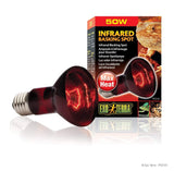 Exo Terra 50 Watt Infrared Heat Lamps - Amazing Amazon
