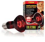 Exo Terra 75 Watt Infrared Heat Lamps - Amazing Amazon