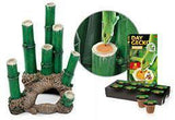Exo Terra Bamboo Forest Terrarium 30cm x 30cm x 45cm - Amazing Amazon