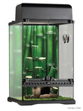 Exo Terra Bamboo Forest Terrarium 45cm x 45cm x 60cm - Amazing Amazon