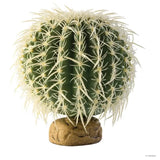 Exo Terra Barrel Cactus Medium 13cm - Amazing Amazon