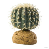 Exo Terra Barrel Cactus Small 7cm - Amazing Amazon