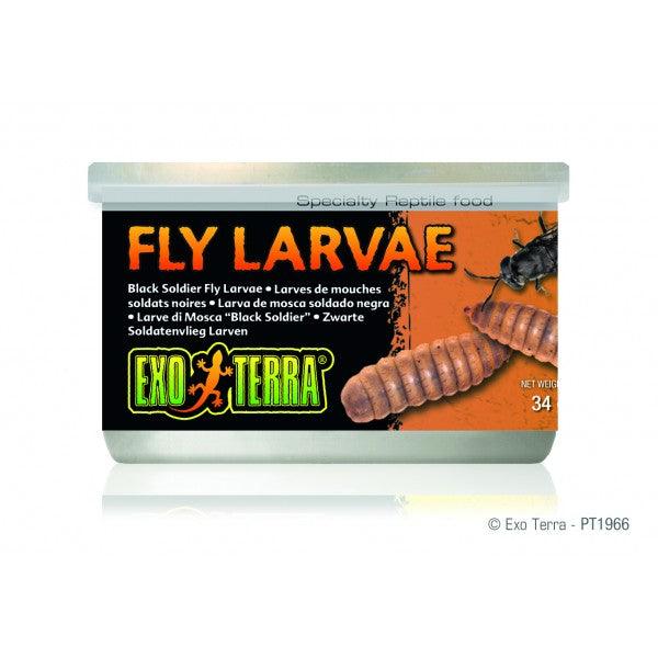 Exo Terra Black Solder Fly Larvae - Amazing Amazon