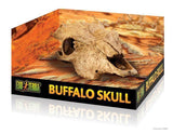 Exo Terra Buffalo Skull - Amazing Amazon
