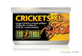 Exo Terra Canned Crickets XL - Amazing Amazon