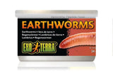 Exo Terra Canned Earthworms - Amazing Amazon
