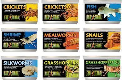 Exo Terra Canned Grasshopper XL - Amazing Amazon