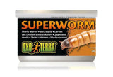 Exo Terra Canned Superworms - Amazing Amazon