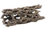 Exo Terra Cholla Cactus Skeleton Medium - Amazing Amazon