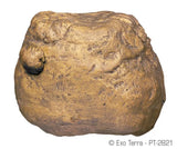 Exo Terra Cricket Feeding Rock - Amazing Amazon