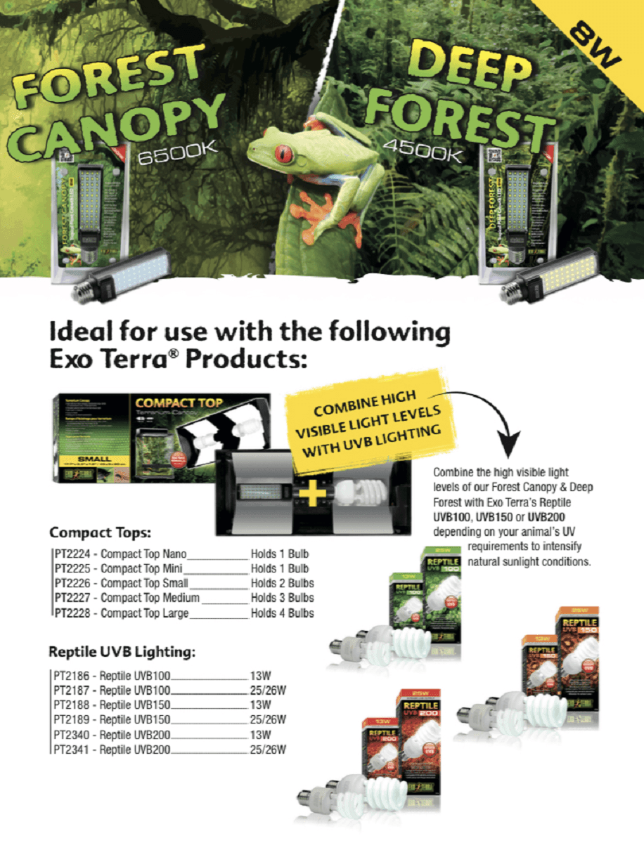 Exo Terra Forest Canopy LED 6500K - Amazing Amazon