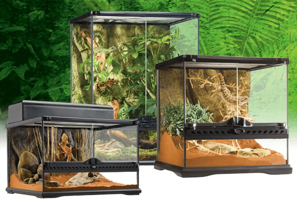 Exo Terra Glass Terrariums Aquarium and Reptiles Amazing Amazon