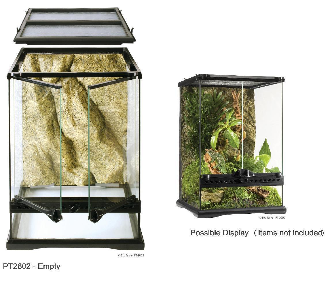 Exo Terra Glass Terrariums - Amazing Amazon