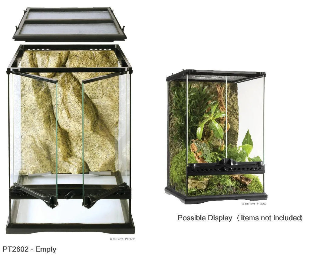 Exo Terra Glass Terrariums Aquarium and Reptiles Amazing Amazon