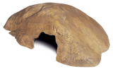 Exo Terra Hide Cave Medium - Amazing Amazon