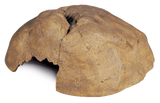 Exo Terra Hide Cave XLarge - Amazing Amazon