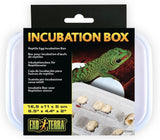 Exo Terra Incubation Box - Amazing Amazon