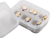 Exo Terra Incubation Box - Amazing Amazon
