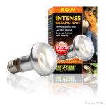 Exo Terra Intense Basking Spot Lamp 50w - Amazing Amazon
