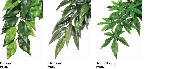 Exo Terra Jungle Plants Abutilon Medium - Amazing Amazon