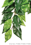 Exo Terra Jungle Plants Ficus Large - Amazing Amazon