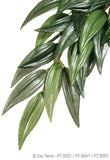 Exo Terra Jungle Plants Ruscus Medium - Amazing Amazon