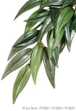 Exo Terra Jungle Plants Ruscus Small - Amazing Amazon