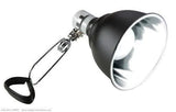 Exo Terra Light Dome UV Reflector - Amazing Amazon