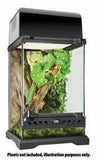 Exo Terra Nano Terrarium - Amazing Amazon