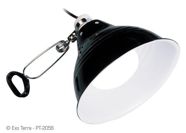 Exo Terra Porcelain Clamp Lamp Reflector Large 25cm - Amazing Amazon