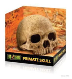 Exo Terra Primate Skull - Amazing Amazon