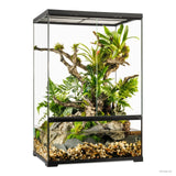 Exo Terra Pro Paludarium Terrarium Medium X-Tall 60x45x90cm - Amazing Amazon