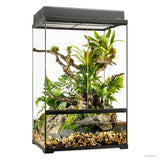 Exo Terra Pro Paludarium Terrarium Medium X-Tall 60x45x90cm - Amazing Amazon