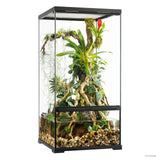 Exo Terra Pro Paludarium Terrarium Small X-Tall 45x45x90cm - Amazing Amazon