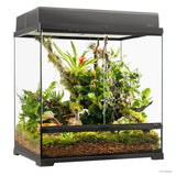 Exo Terra Pro Terrarium Medium Tall 60x45x60cm - Amazing Amazon
