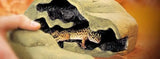 Exo Terra Reptile Den - Amazing Amazon