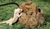 Exo Terra Reptile Fountain Water Dish - Amazing Amazon