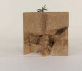 Reptile terrarium background with cave hide and small plant for aquarium fish tanks