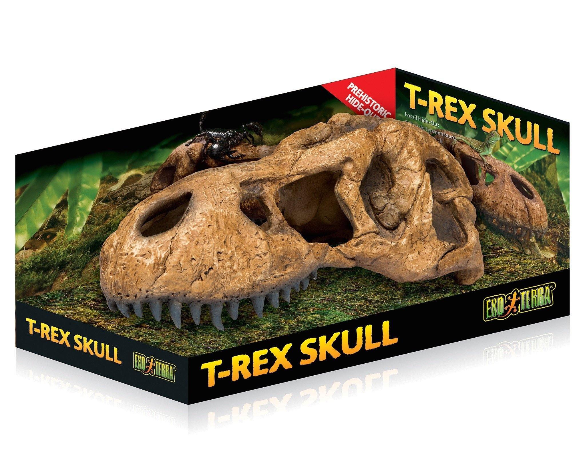 Exo Terra T-Rex Skull - Amazing Amazon