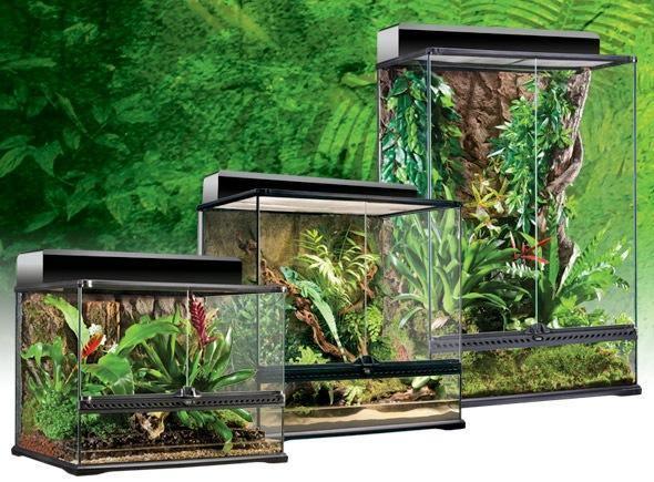 opskrift Mantle stak Exo Terra Terrarium 60cm x 45cm x 60cm | Aquarium and Reptiles