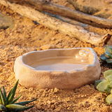 Exo Terra Large Terrarium Dish for reptile food and water in a sandy desert habitat.