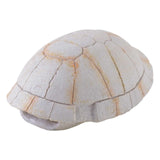Exo Terra Tortoise Turtle Skeleton Hide - Amazing Amazon