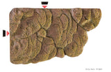Exo Terra Turtle Bank Large - Amazing Amazon