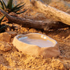 Exo Terra Terrarium Dish Medium – Reptile Food & Water Bowl